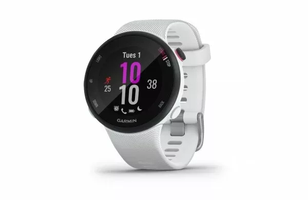 Garmin Forerunner 45S Iris White